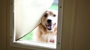 hi tech pet door